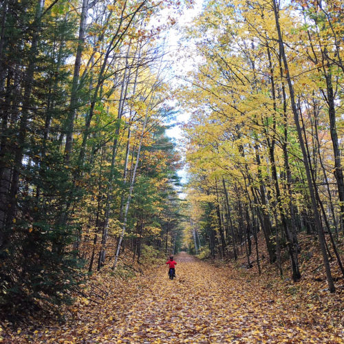 Pathway to Autumn