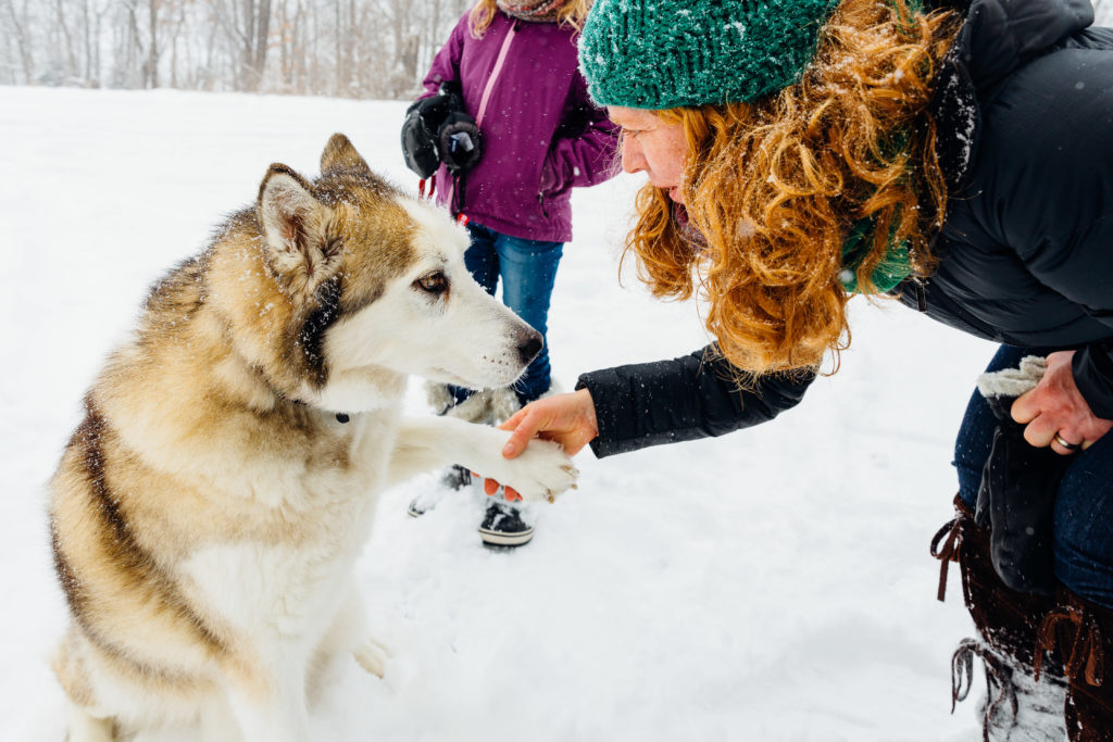 A woman shakes hands with her dog.