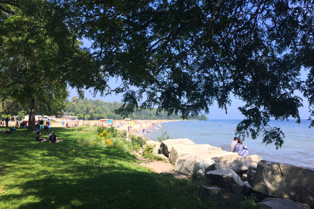 A view of Milwaukee's Bradford Beach through trees.