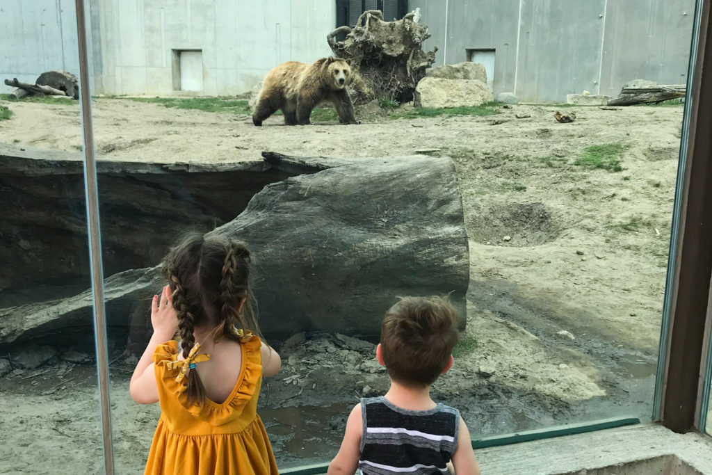 Children watch a bear at the Henry Vilas Zoo in Madison, Wisconsin.