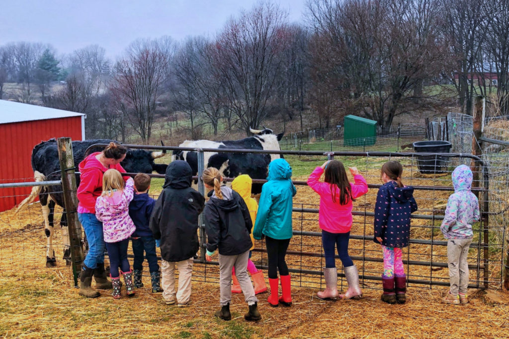 Kids tour Heartland Farm Sanctuary in Verona.