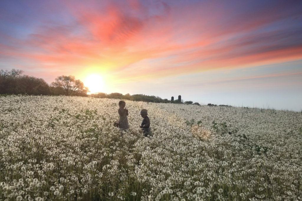 Kids in a field of dandelions.