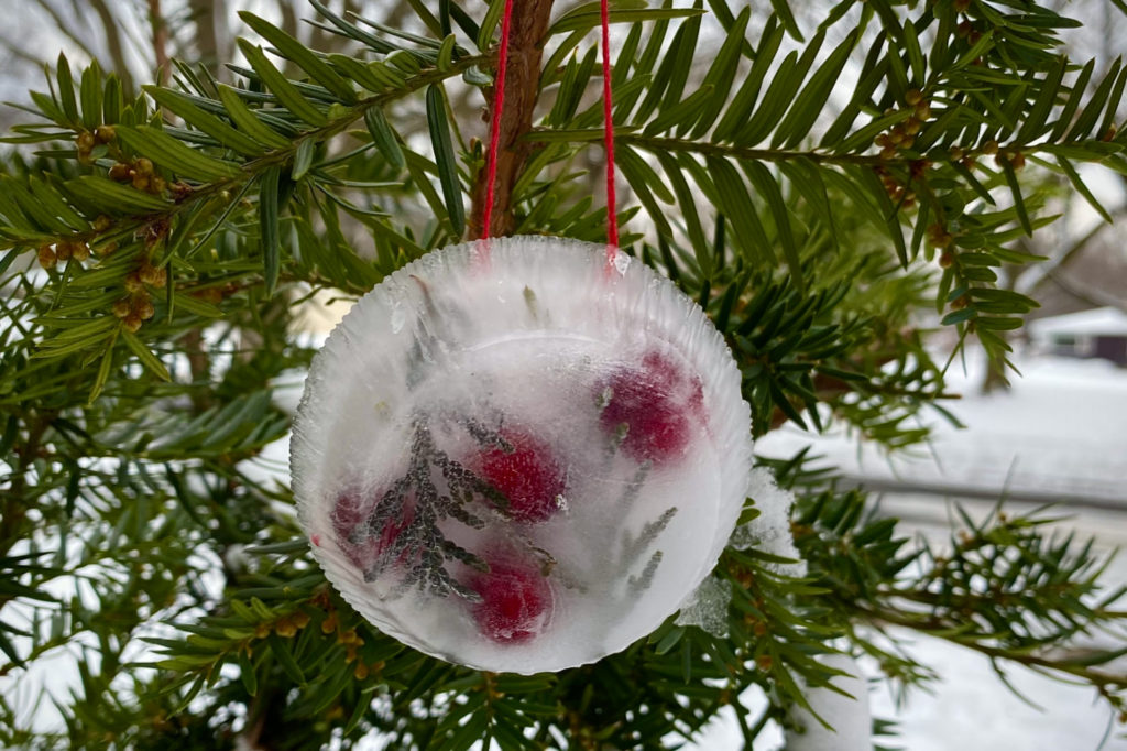 An ornament made of berries and ice hangs in an evergreen tree.