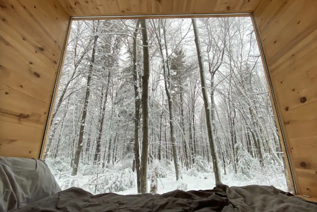 A view of trees from the picture window inside the Off-Grid Inn tiny cabin in Fall Creek, Wisconsin.