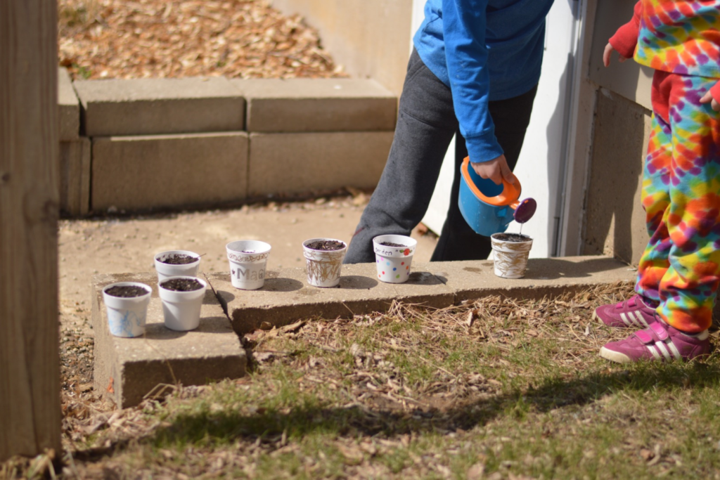 Two children water seeds in small cups.