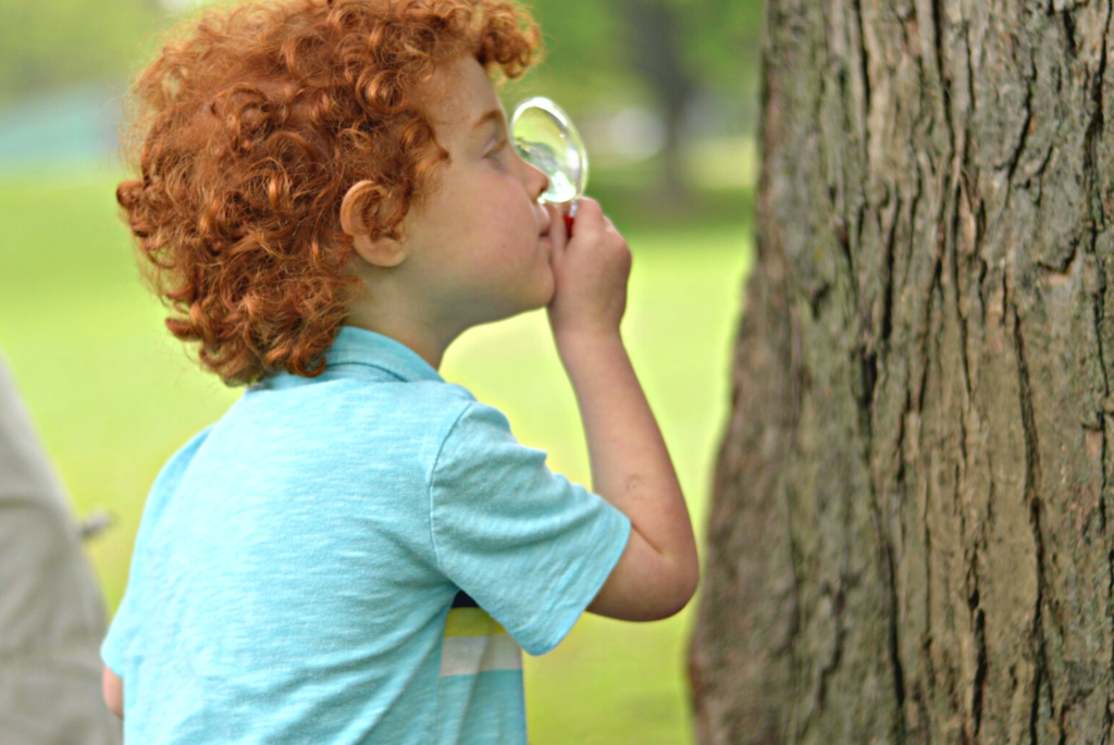 A young boy uses a magnifying glass to look at the bark of a tree. 