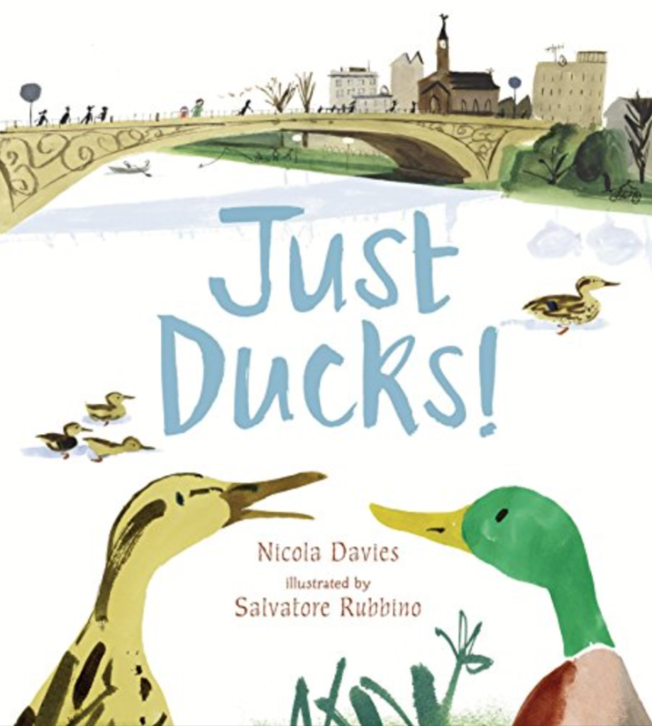The cover of "Just Ducks!" by Nicola Davies.